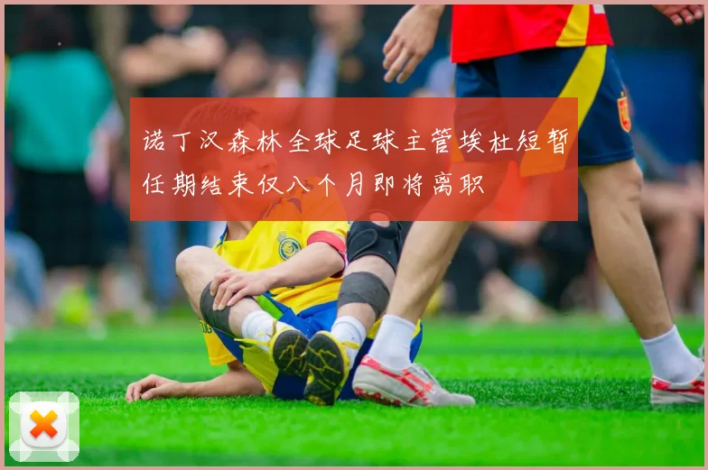 诺丁汉森林全球足球主管埃杜短暂任期结束仅八个月即将离职
