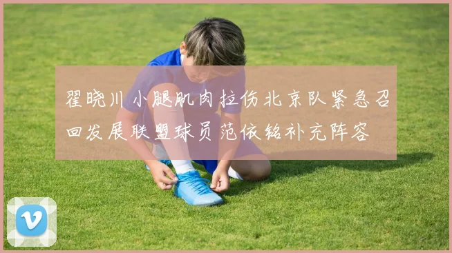 翟晓川小腿肌肉拉伤北京队紧急召回发展联盟球员范依铭补充阵容