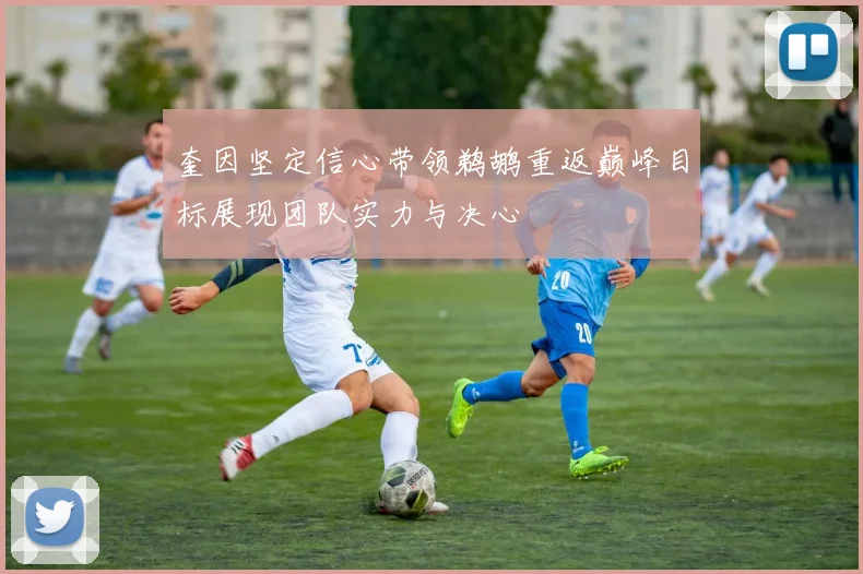 奎因坚定信心带领鹈鹕重返巅峰目标展现团队实力与决心