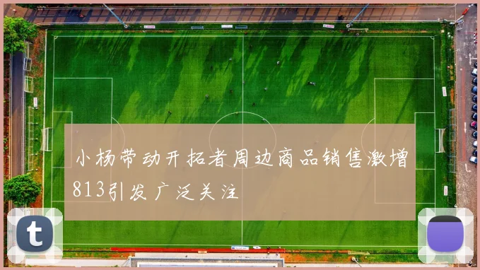 小杨带动开拓者周边商品销售激增813引发广泛关注