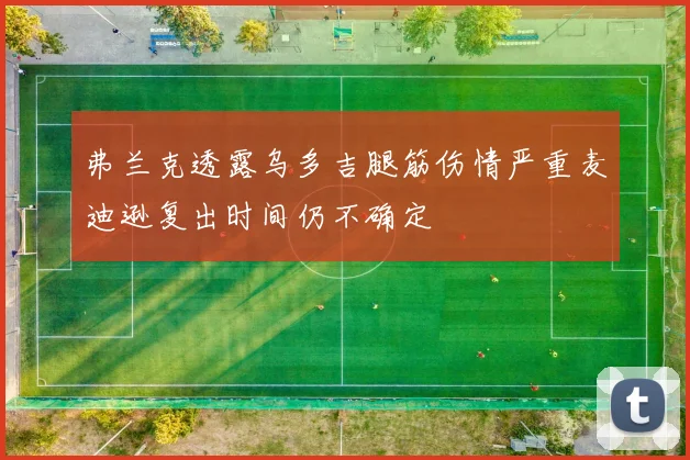 弗兰克透露乌多吉腿筋伤情严重麦迪逊复出时间仍不确定