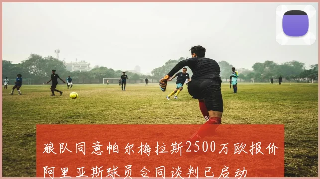 狼队同意帕尔梅拉斯2500万欧报价阿里亚斯球员合同谈判已启动